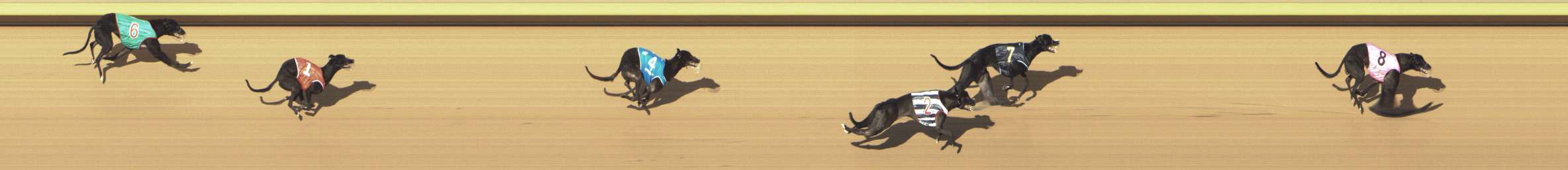 Photo finish for Shepparton Race 3