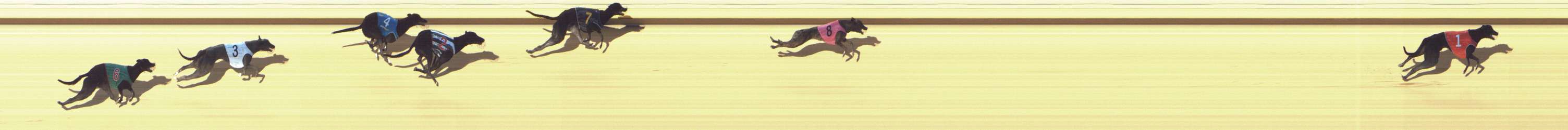 Photo finish for Shepparton Race 4