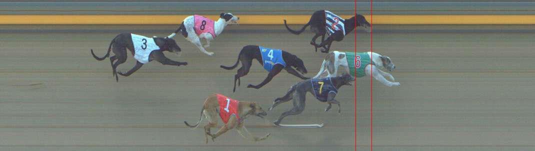Photo finish for Shepparton Race 5