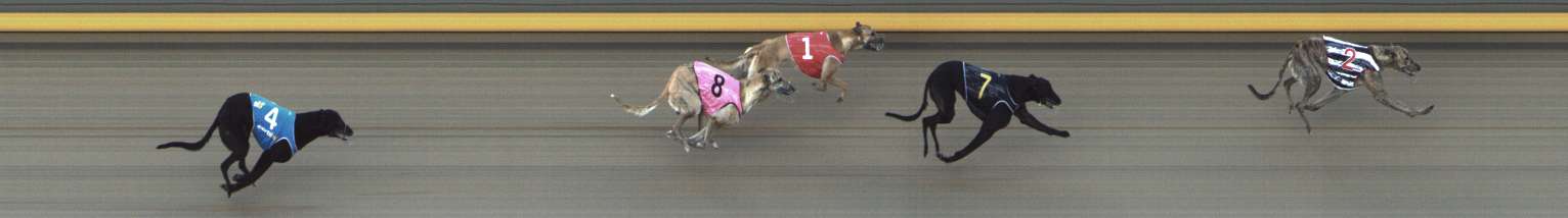 Photo finish for Shepparton Race 6