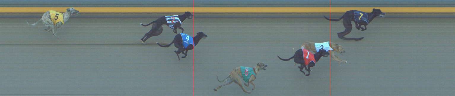 Photo finish for Shepparton Race 7