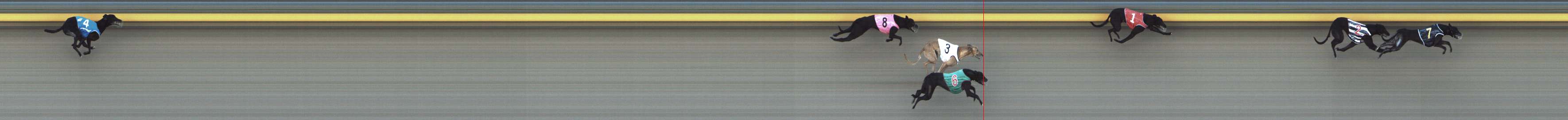 Photo finish for Shepparton Race 8