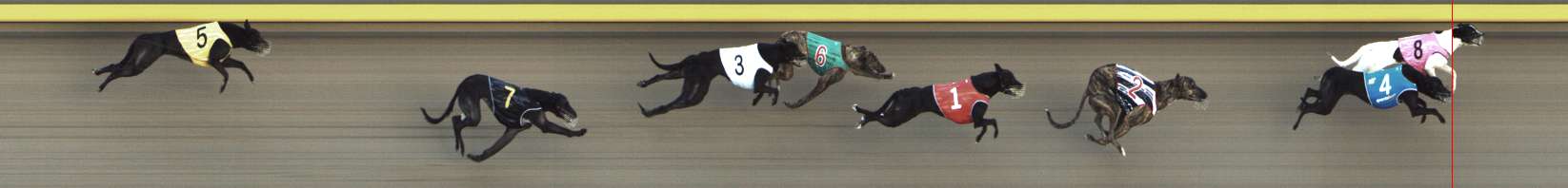 Photo finish for Shepparton Race 9