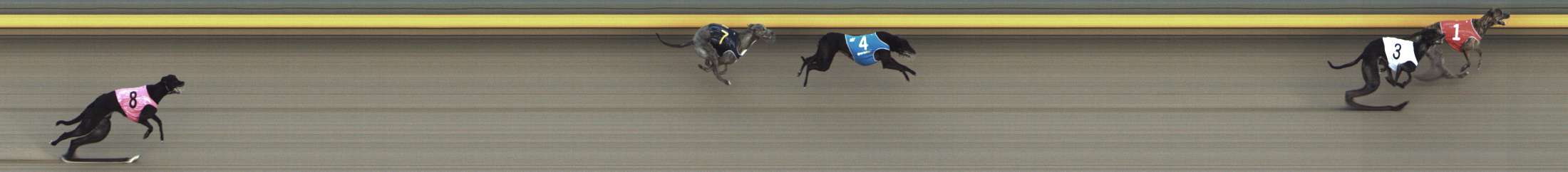 Photo finish for Shepparton Race 10