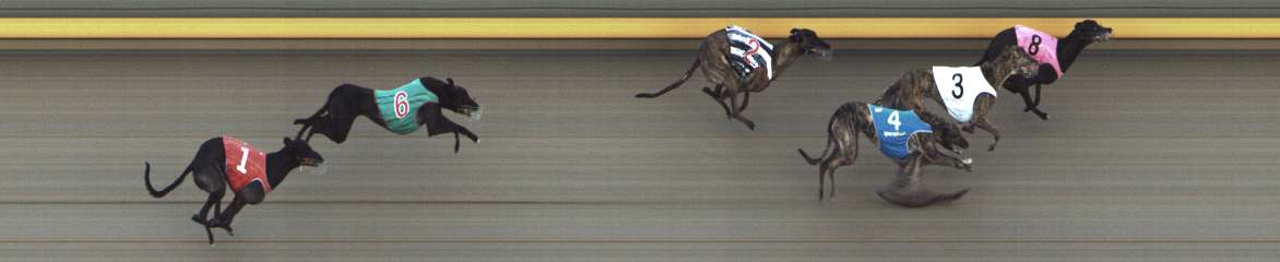 Photo finish for Shepparton Race 11