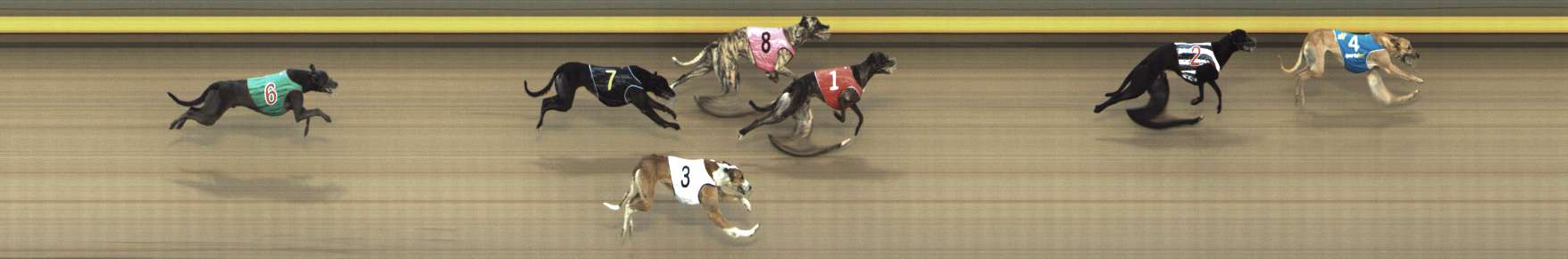Photo finish for Shepparton Race 12