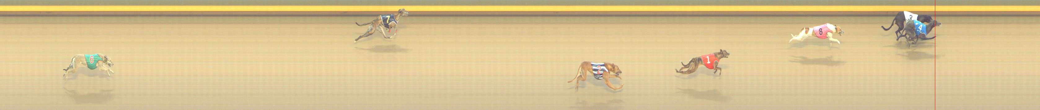 Photo finish for Shepparton Race 13