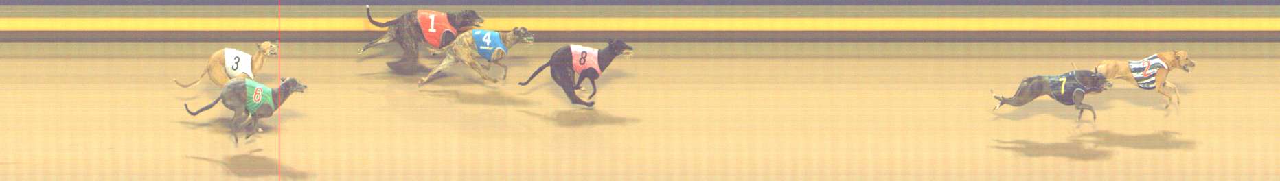 Photo finish for Shepparton Race 14