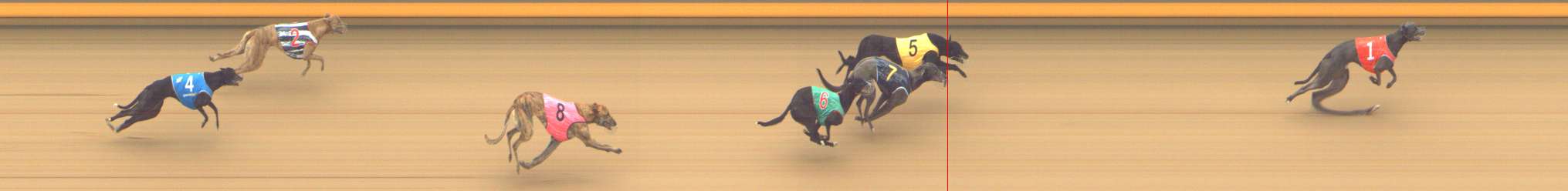 Photo finish for Shepparton Race 1