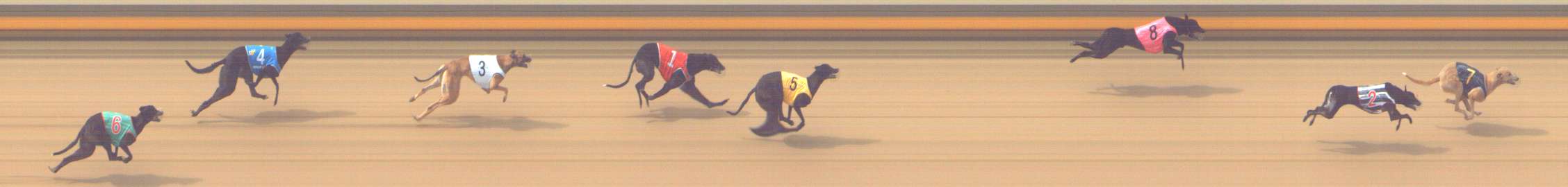 Photo finish for Shepparton Race 2