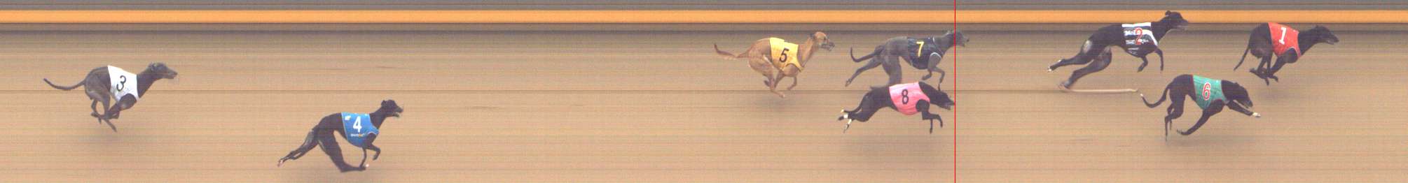 Photo finish for Shepparton Race 3