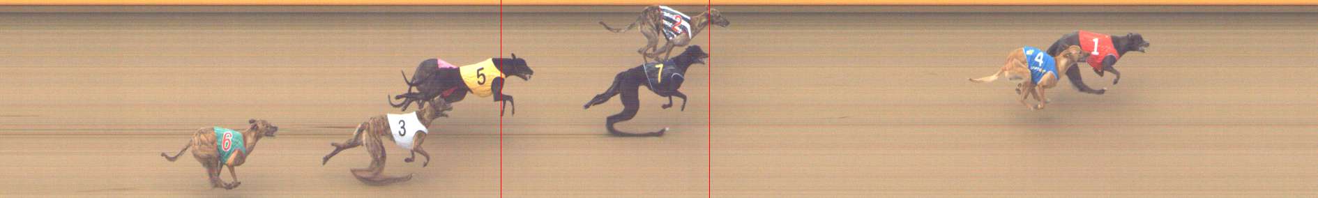 Photo finish for Shepparton Race 5