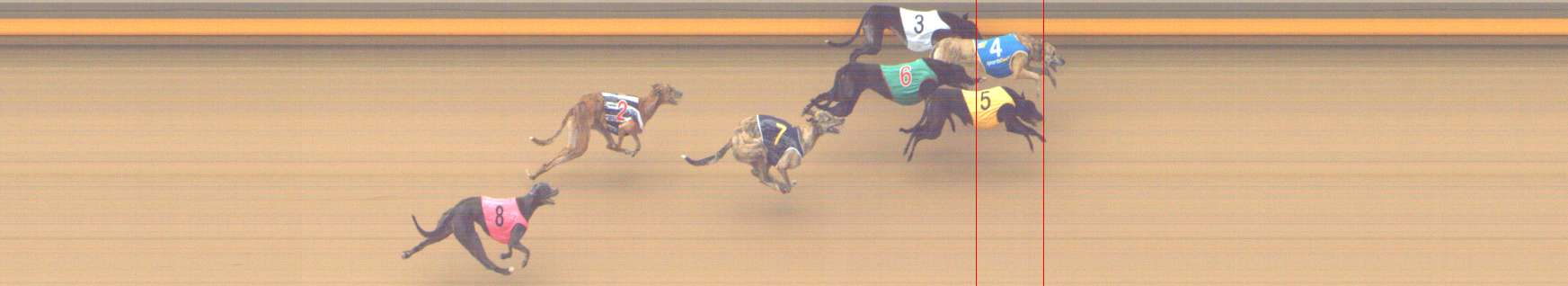 Photo finish for Shepparton Race 6