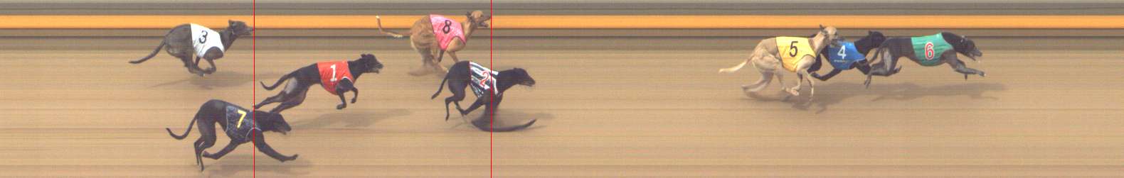 Photo finish for Shepparton Race 8