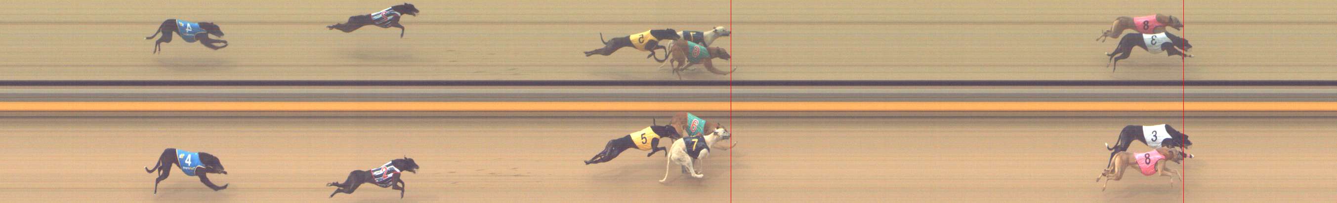 Photo finish for Shepparton Race 9