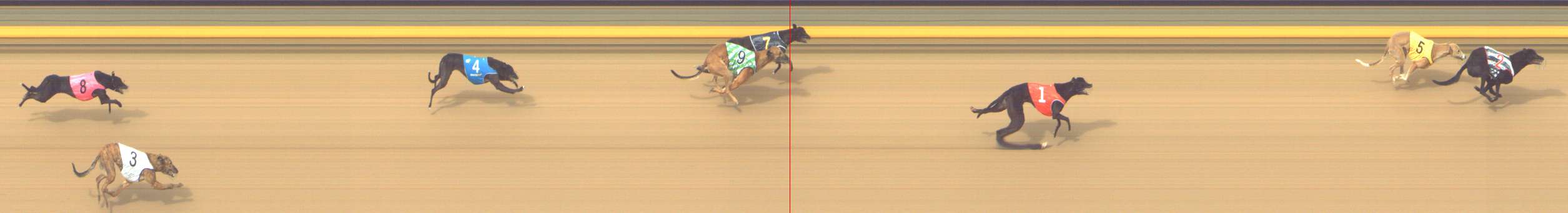 Photo finish for Shepparton Race 10