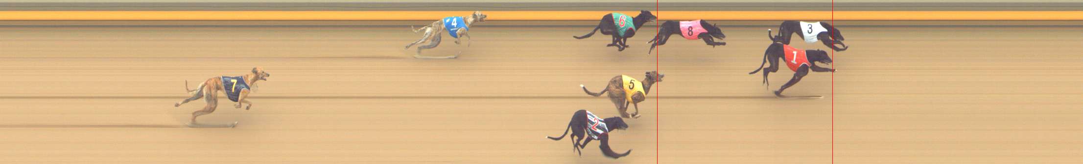 Photo finish for Shepparton Race 11