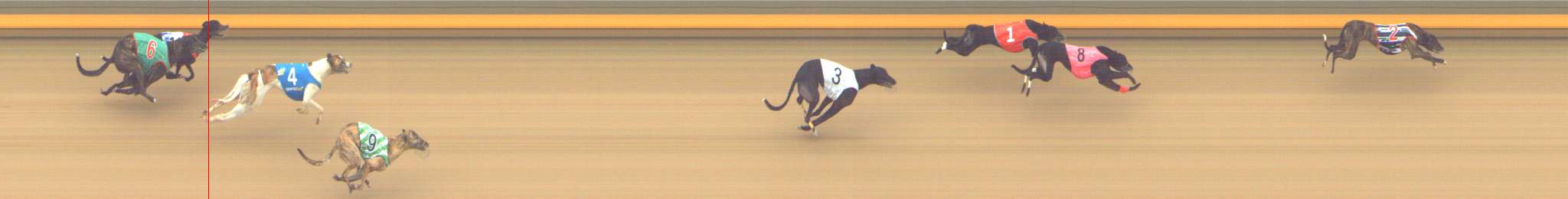 Photo finish for Shepparton Race 13