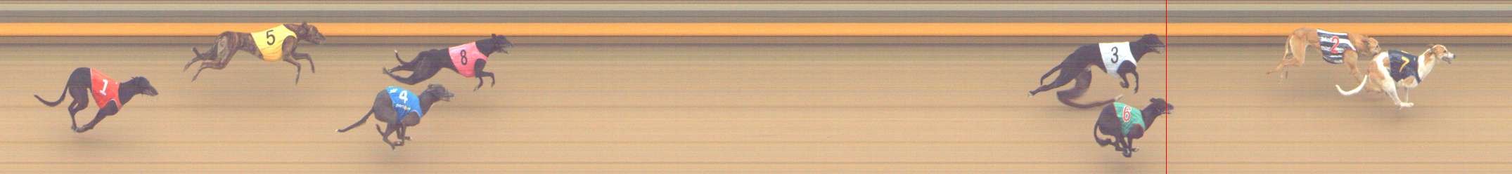 Photo finish for Shepparton Race 14