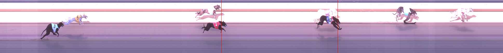Photo finish for Shepparton Race 2