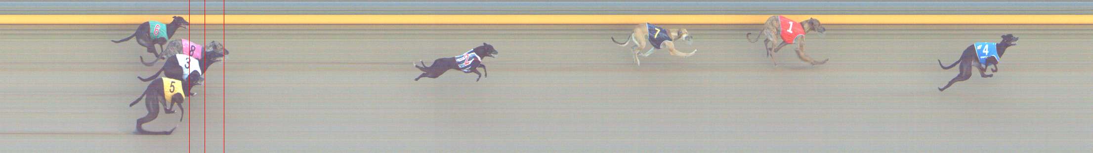 Photo finish for Shepparton Race 10