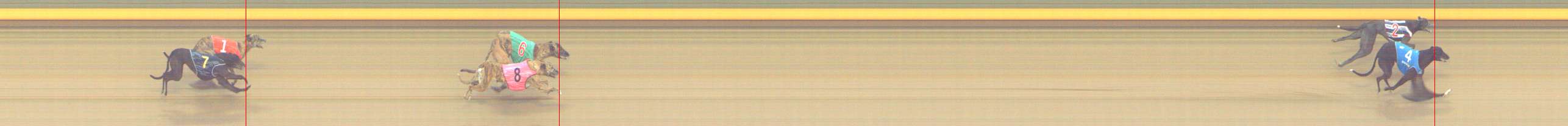 Photo finish for Shepparton Race 11