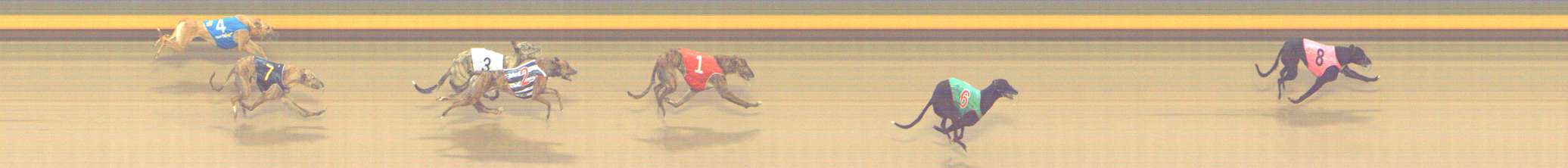 Photo finish for Shepparton Race 12