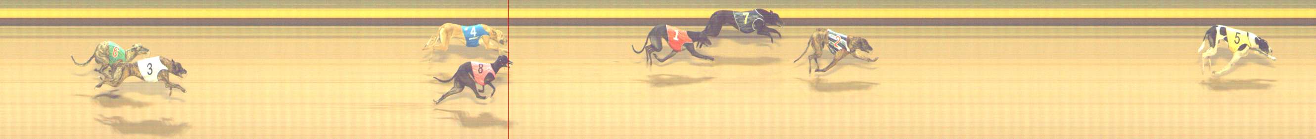 Photo finish for Shepparton Race 13