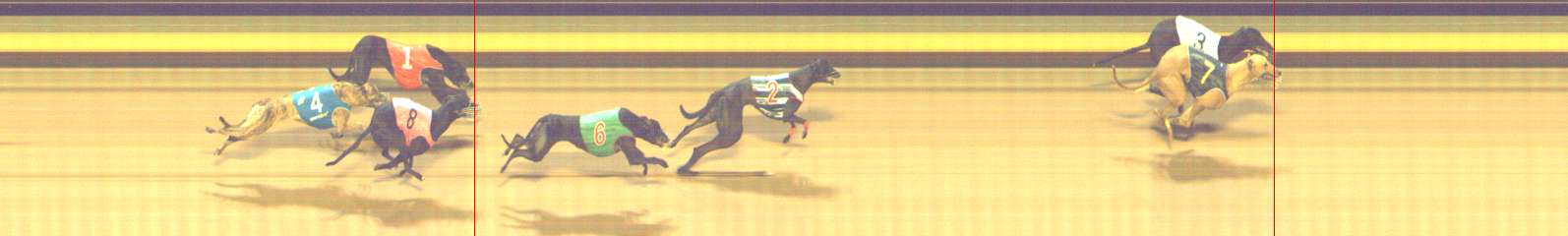 Photo finish for Shepparton Race 14