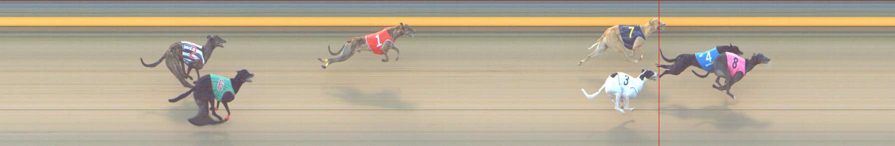 Photo finish for Shepparton Race 3