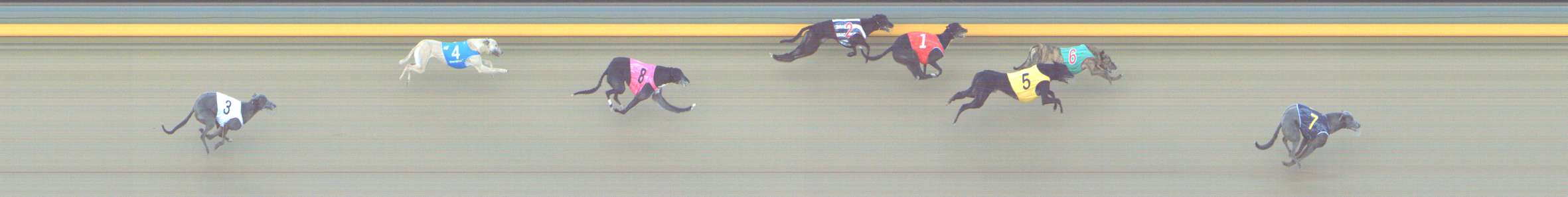Photo finish for Shepparton Race 4