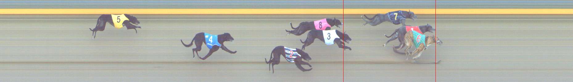 Photo finish for Shepparton Race 5