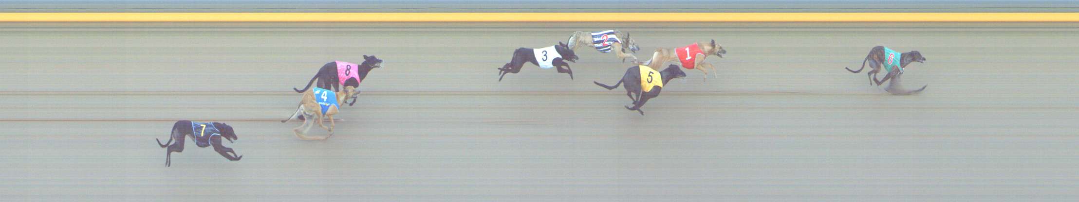 Photo finish for Shepparton Race 6
