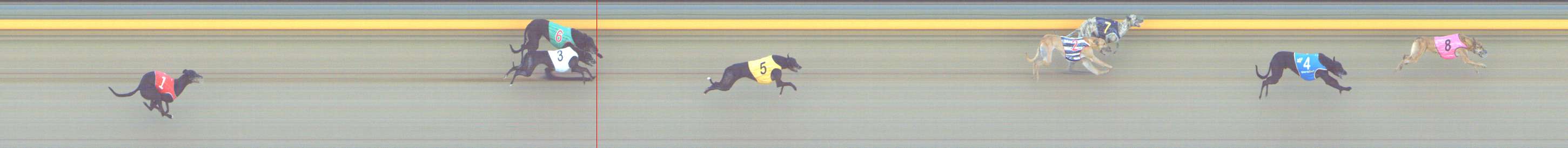 Photo finish for Shepparton Race 7