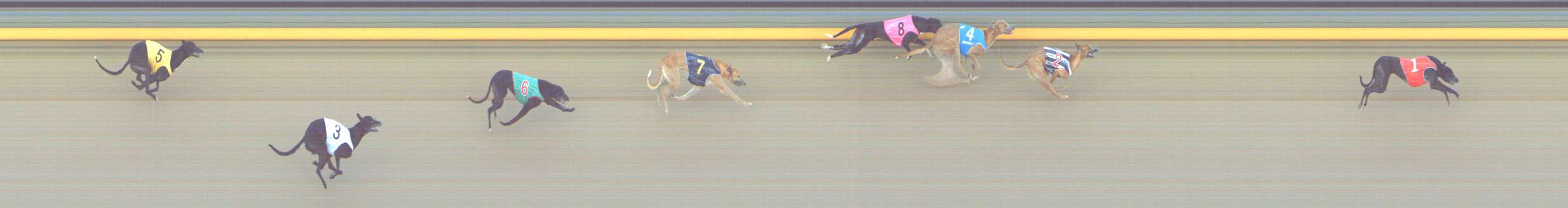 Photo finish for Shepparton Race 8