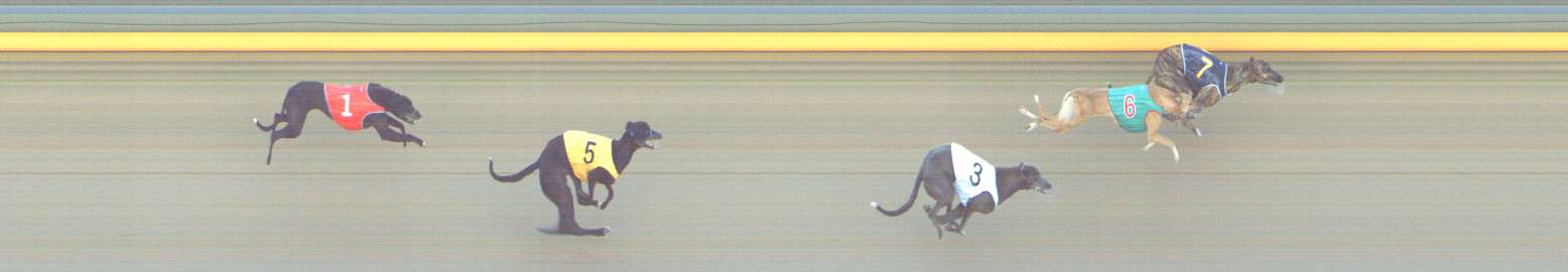 Photo finish for Shepparton Race 9