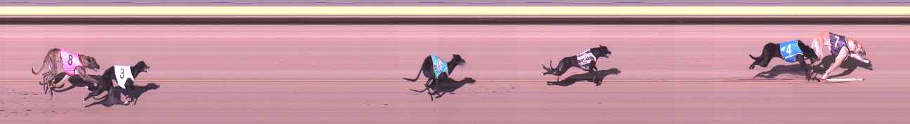 Photo finish for Shepparton Race 1