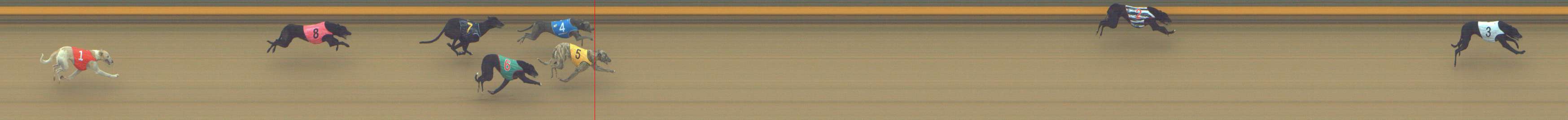 Photo finish for Shepparton Race 1