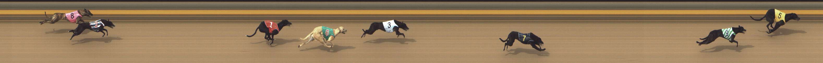 Photo finish for Shepparton Race 2
