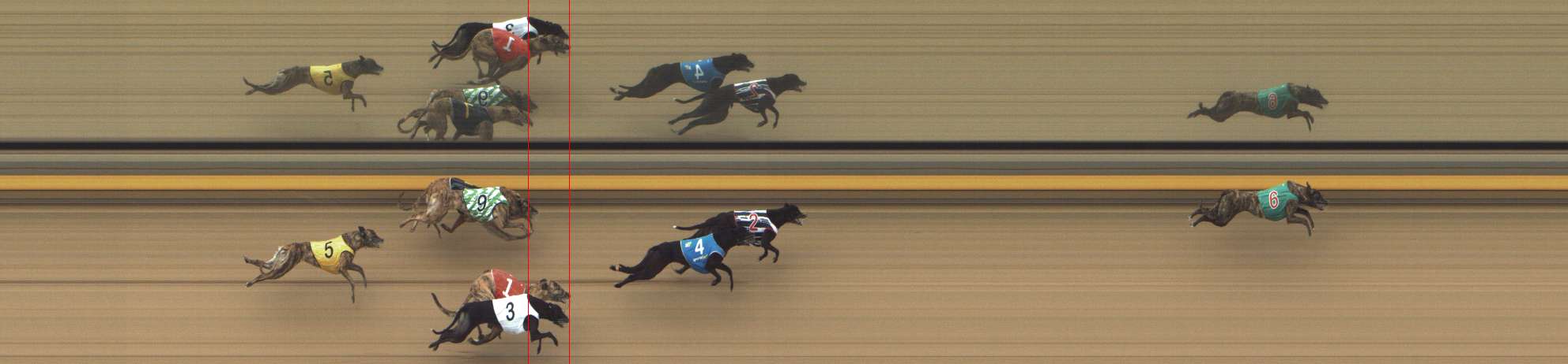 Photo finish for Shepparton Race 3