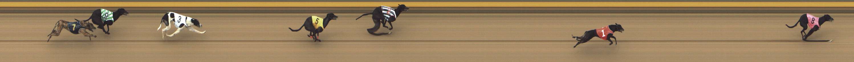 Photo finish for Shepparton Race 5