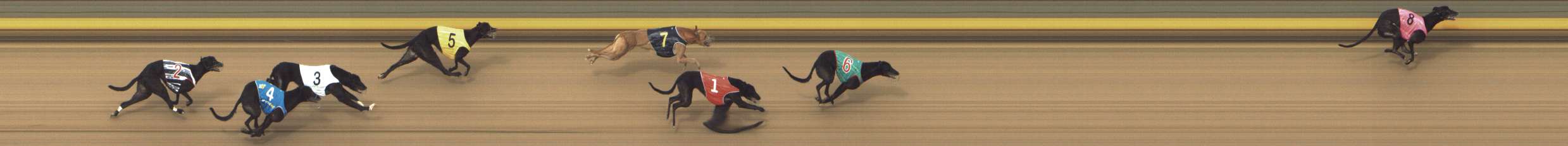 Photo finish for Shepparton Race 6