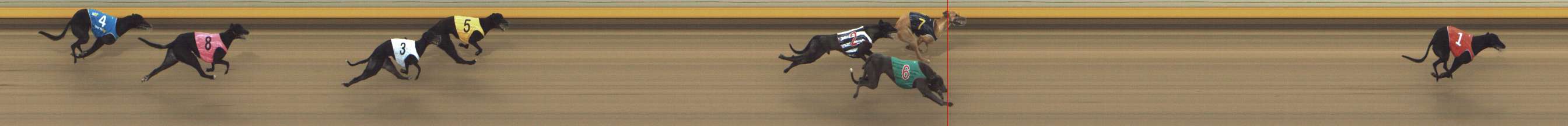 Photo finish for Shepparton Race 7