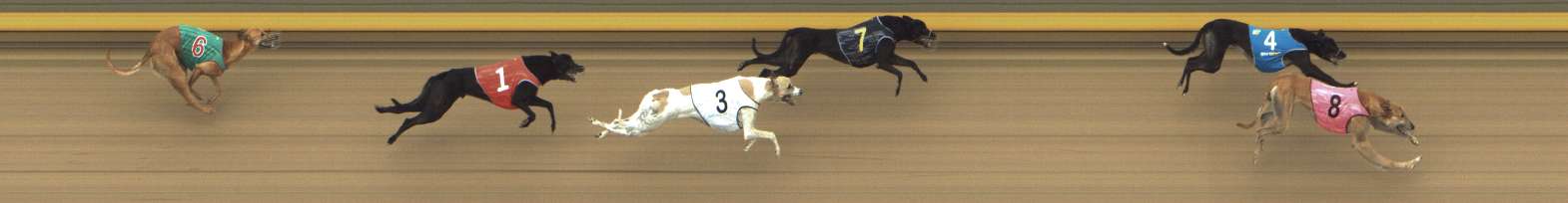Photo finish for Shepparton Race 8