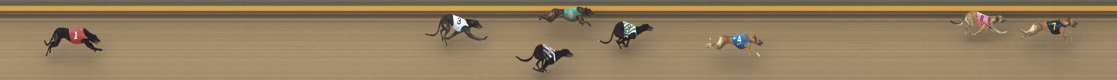 Photo finish for Shepparton Race 9