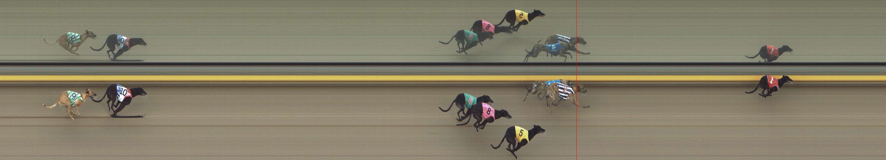 Photo finish for Shepparton Race 10