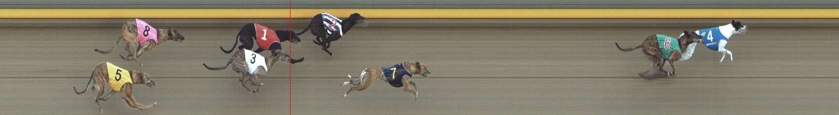 Photo finish for Shepparton Race 11