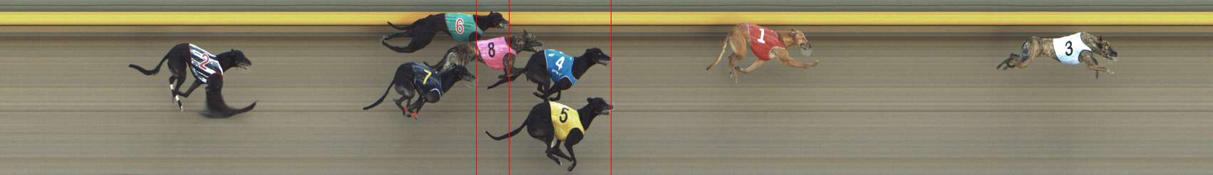 Photo finish for Shepparton Race 12