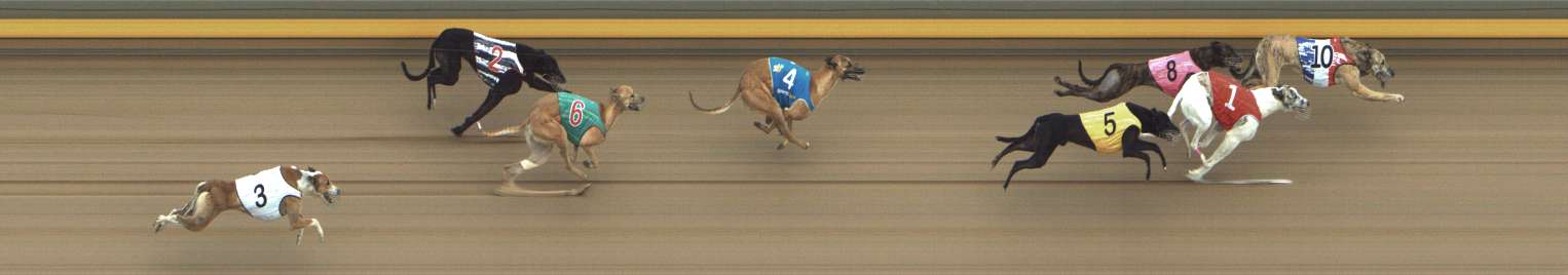 Photo finish for Shepparton Race 13