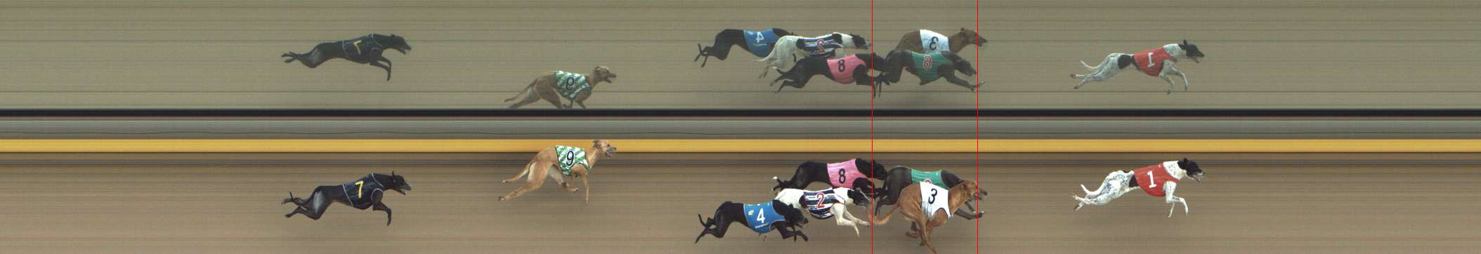 Photo finish for Shepparton Race 14